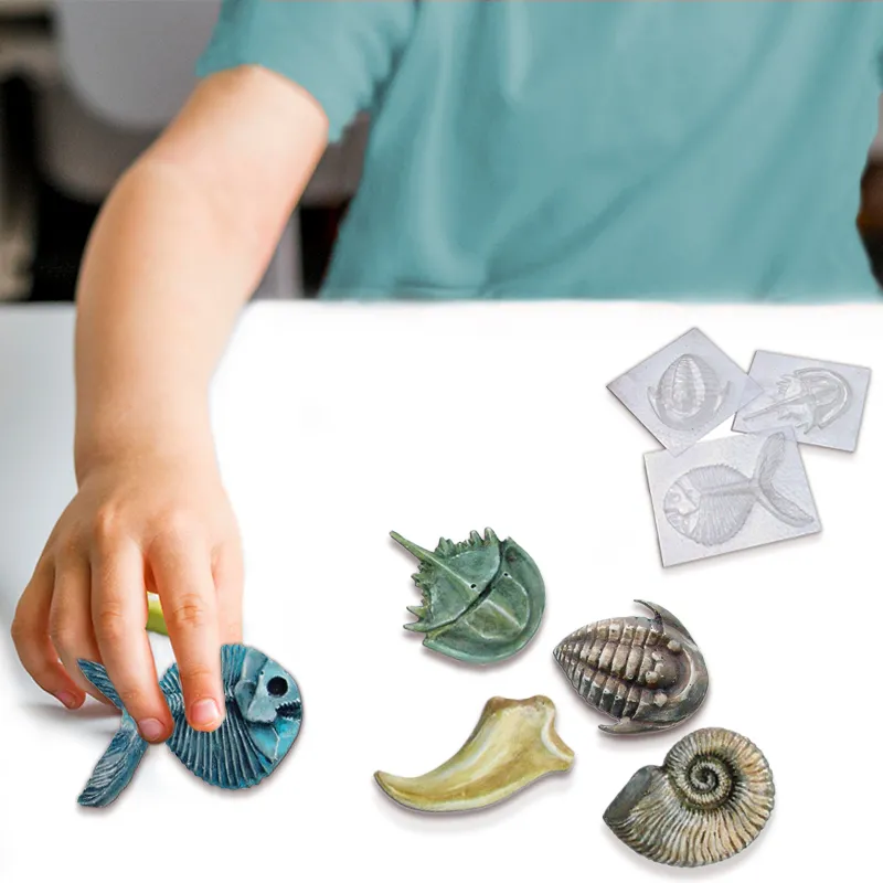 Fossilien-Gießform-Set (5 Stück)