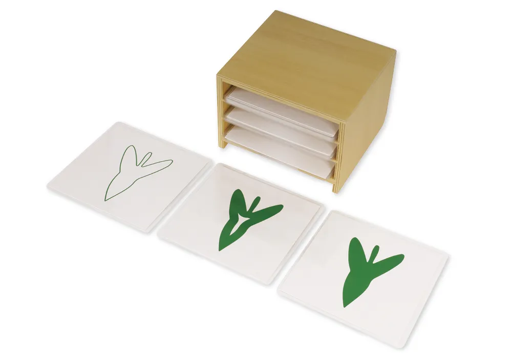 TimeTEX Kasten mit 3 Fächern für die botanischen Karten "Montessori Premium"