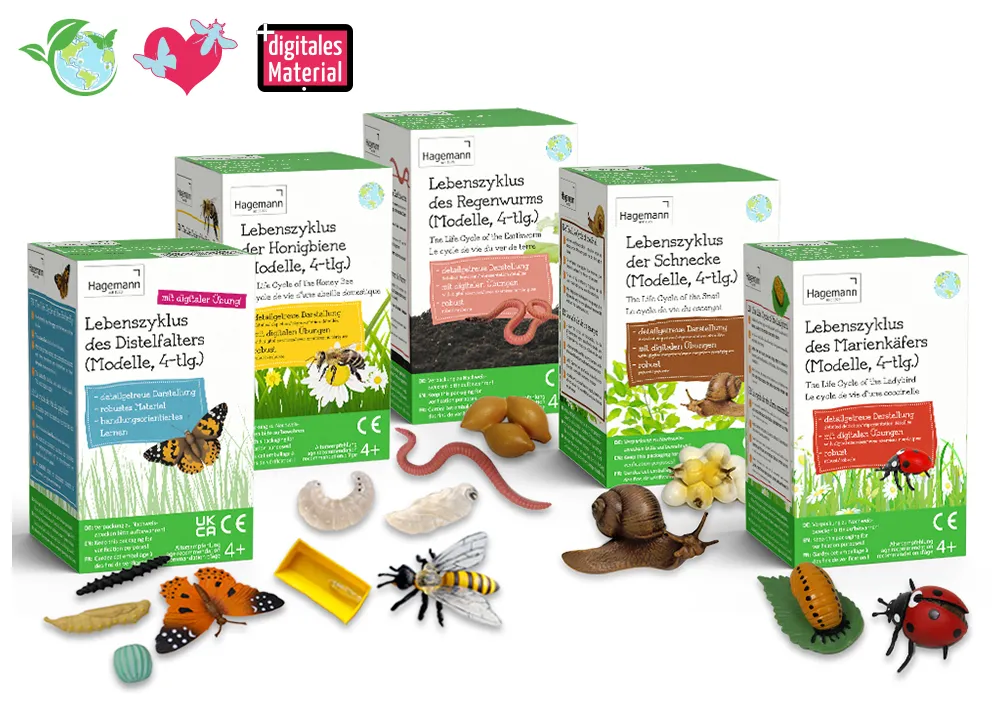 Sparset Lebenszyklus-Modelle Insekten & Co, 20-tlg.