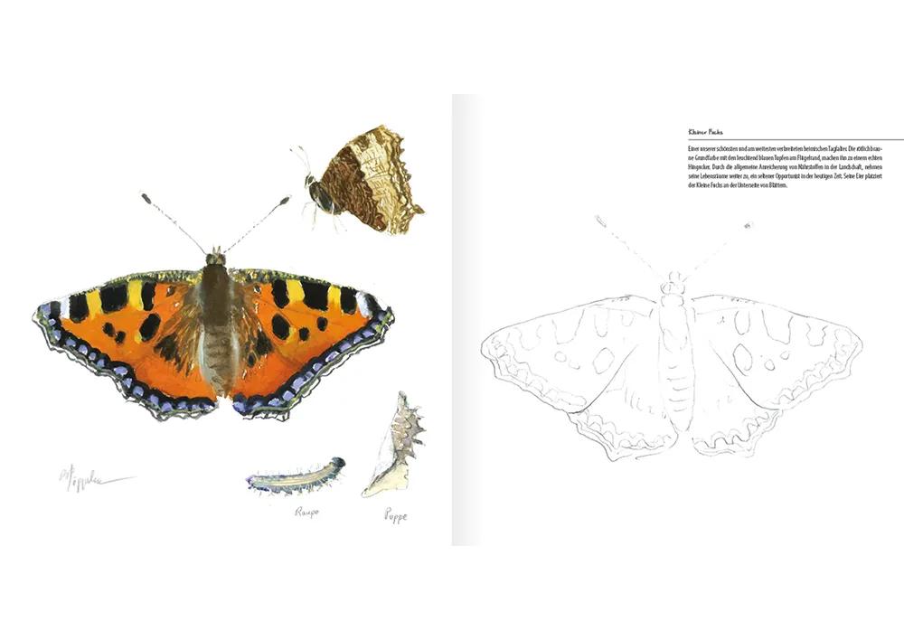 Bezaubernde Schmetterlinge, Mal- und Zeichenbuch 