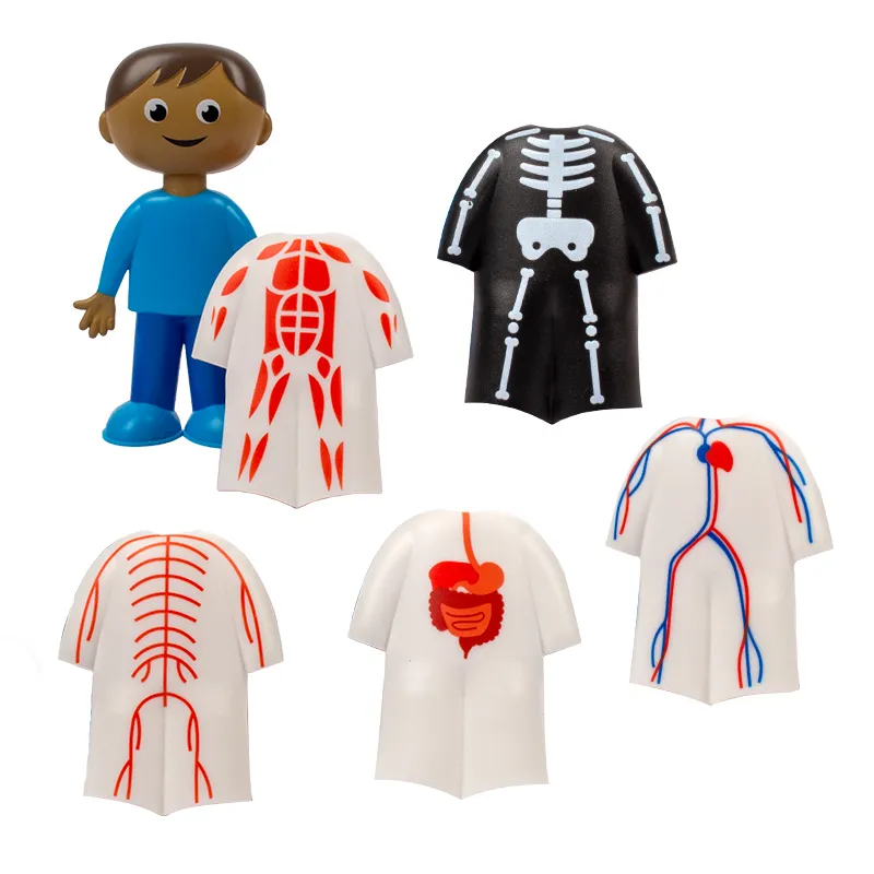 Der Menschliche Körper, Steck-Set, 17 tlg.