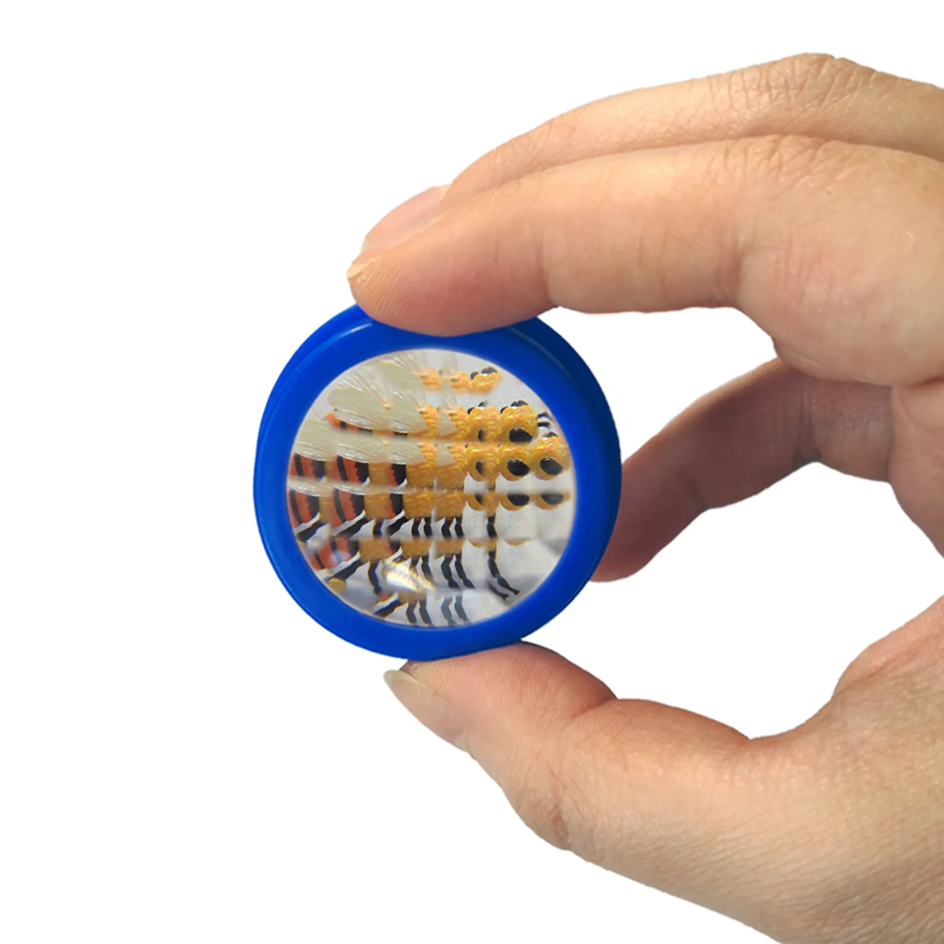 Hagemann Schmetterlings-Zuchtset mit Komfort-Eingriff (5-7 Raupen)