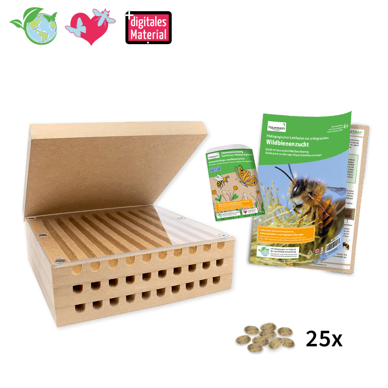 Hagemann Zuchtset Wildbienen, kompakt, Rote Mauerbiene (mit 25 Kokons)