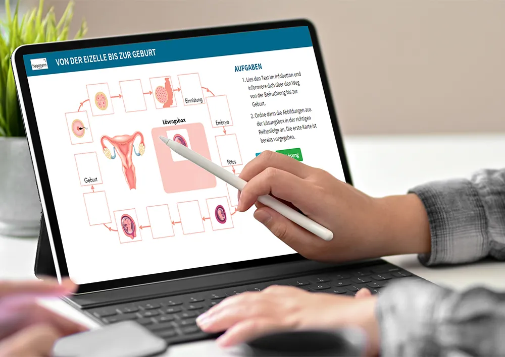 Hagemann Magnetbilder – Wie ein Kind entsteht