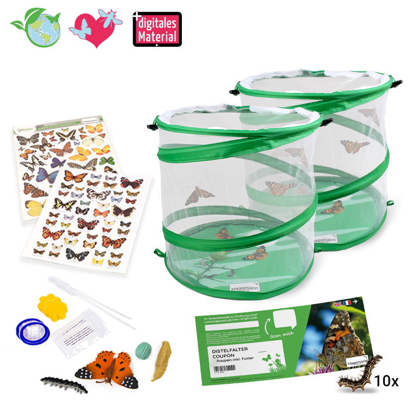 Hagemann Schmetterlings-Zuchtset, groß (mit Gutschein, 10 Raupen)