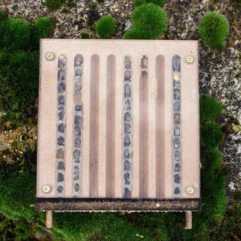 Hagemann Pädagogischer Nistblock mit Beobachtungsschublade