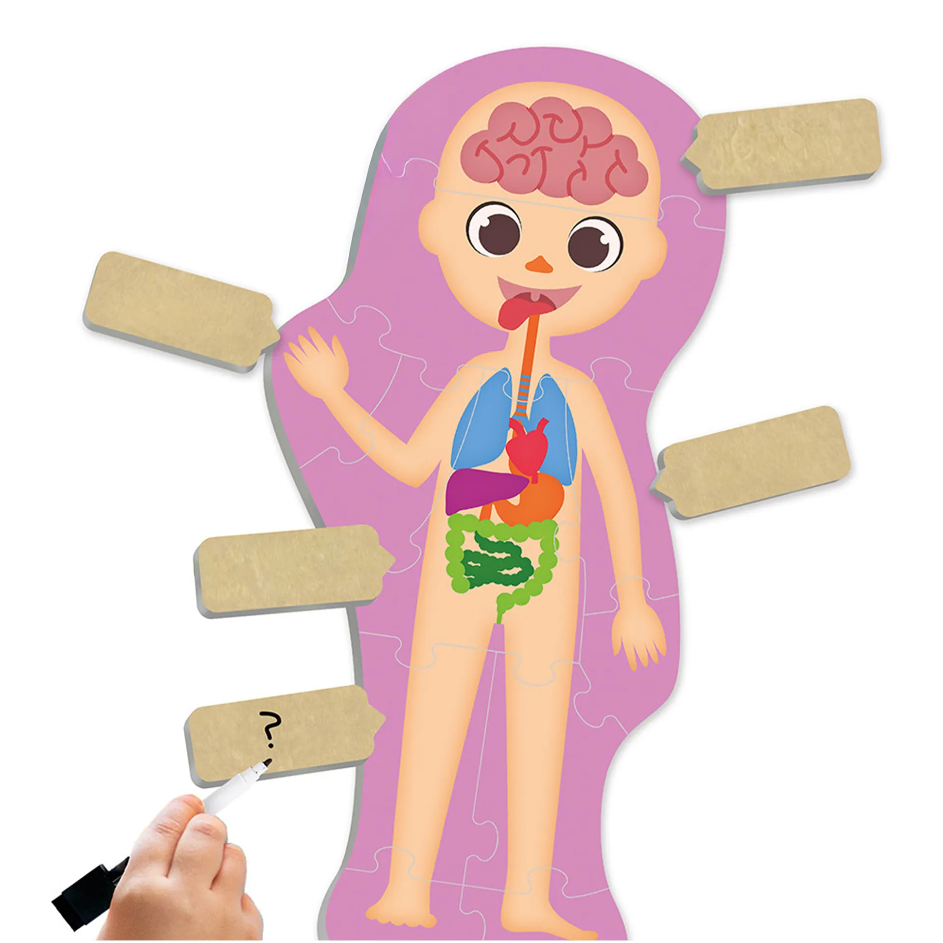 Entdecke deinen Körper, 100-tlg. 