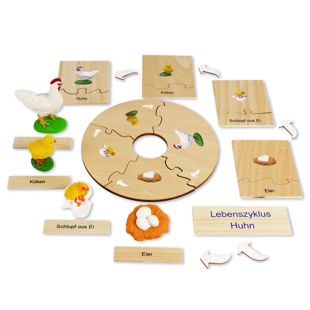 TimeTEX Lebenszyklus eines Huhns, in Holzbox "Montessori Premium"
