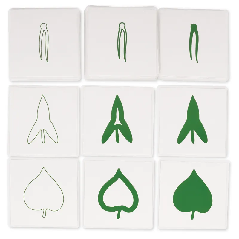 TimeTEX Botanischer Kartensatz "Montessori Premium"