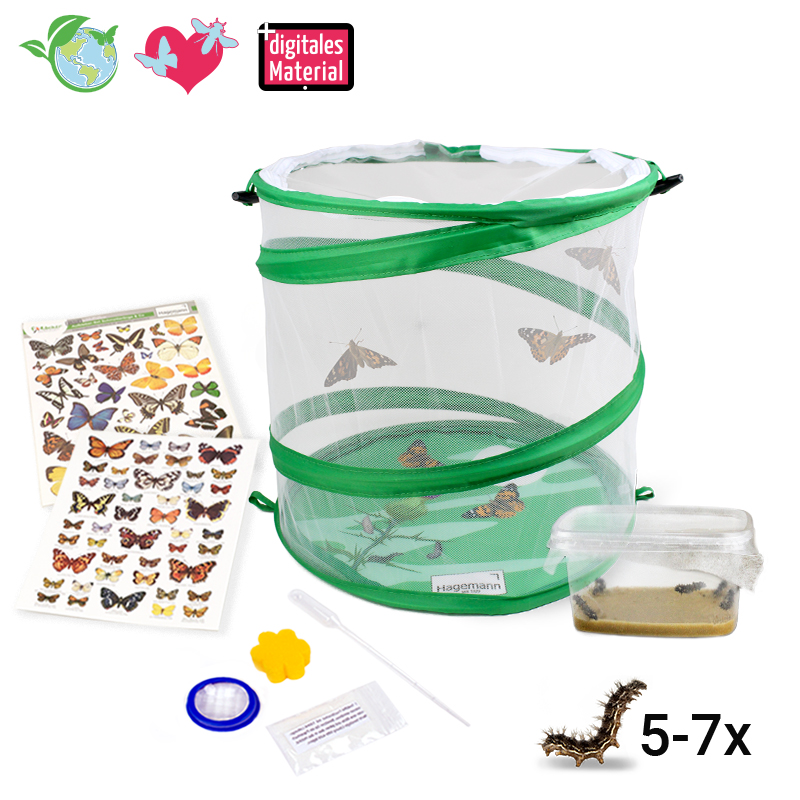 Hagemann Schmetterlings-Zuchtset, kompakt (5-7 Raupen)