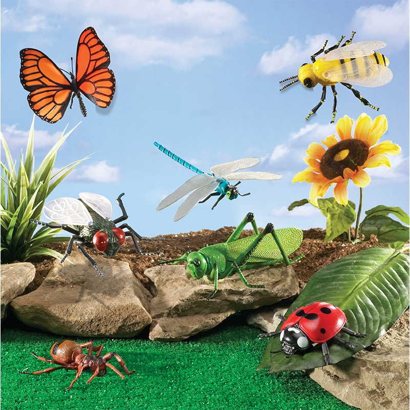 Jumbo-Insekten