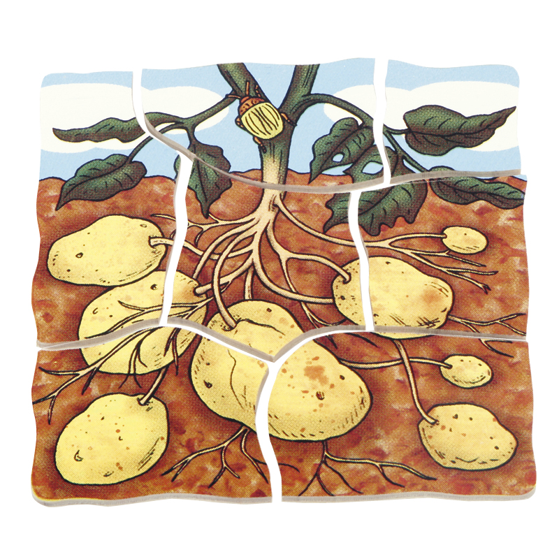beleduc Schichten-Puzzle "Kartoffel", 30-tlg.