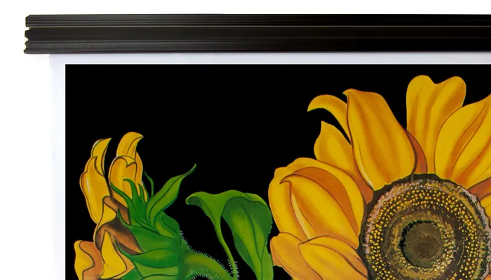 Flachleiste Kunststoff - laufende Meter