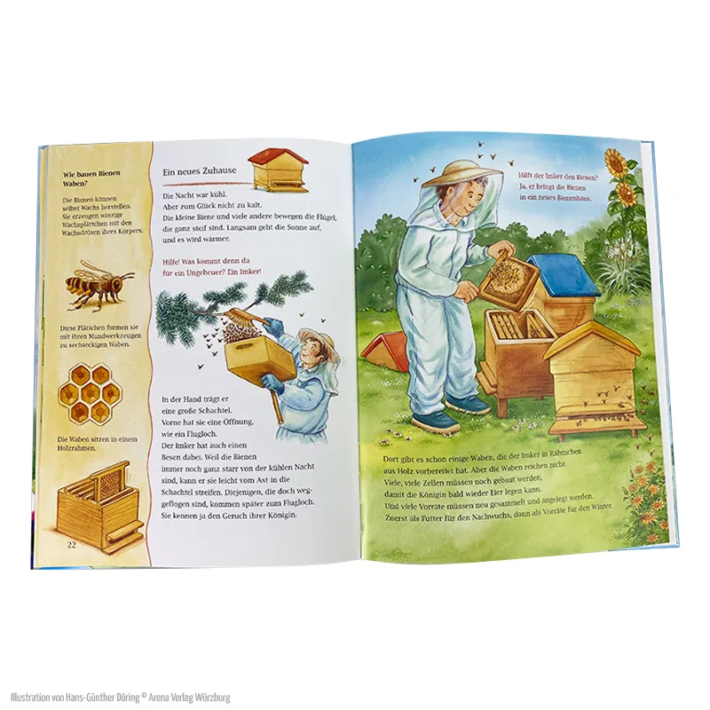 Eine Geschichte mit vielen Sachinformationen – Wohin fliegst du, kleine Honigbiene?