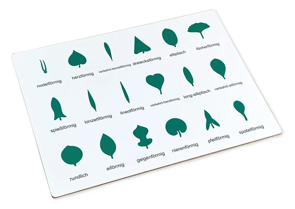 TimeTEX Kontrolltafel für die botanische Kommode "Montessori Premium"