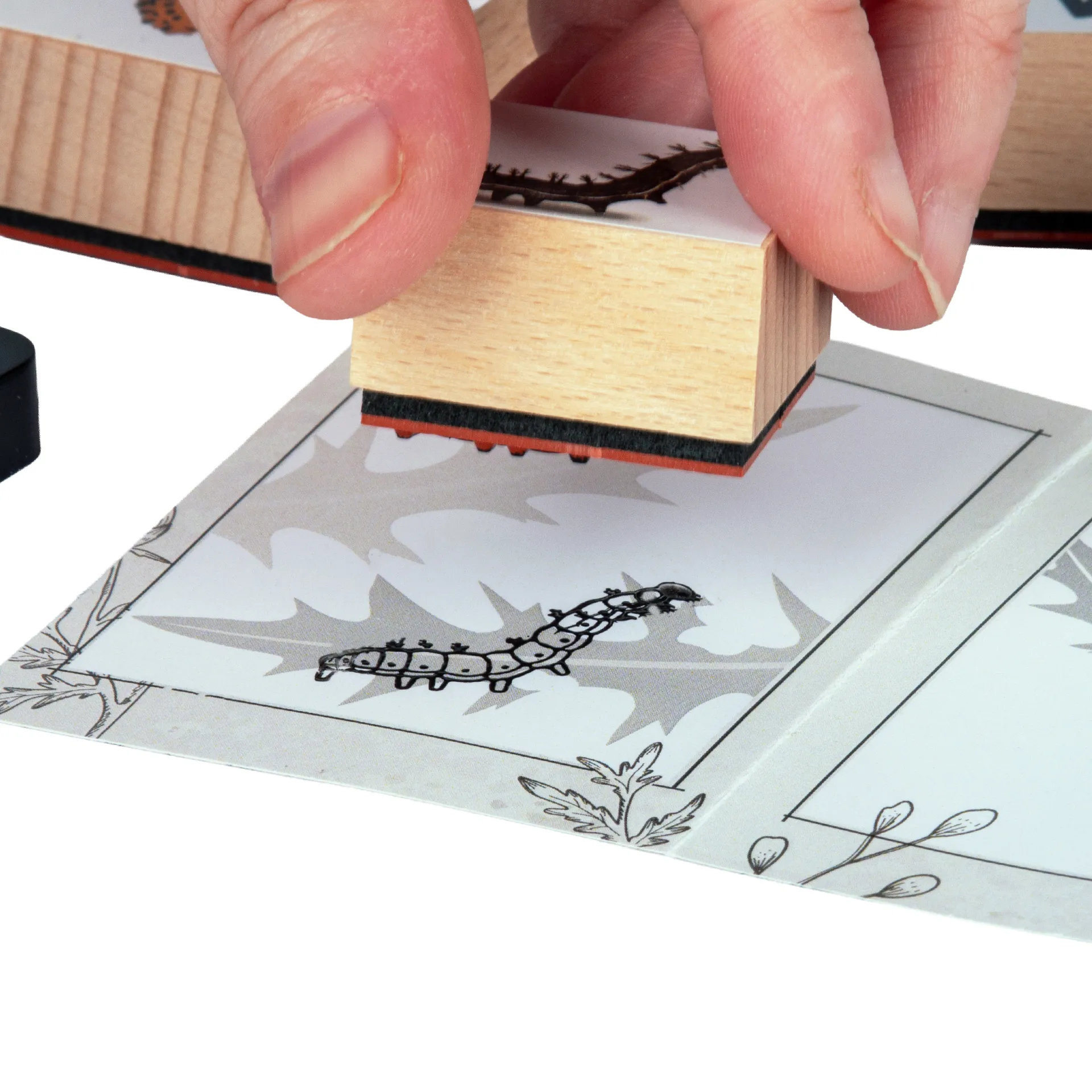 Hagemann Holzstempel Lebenszyklus Schmetterling mit Stempelkissen, 11-tlg.