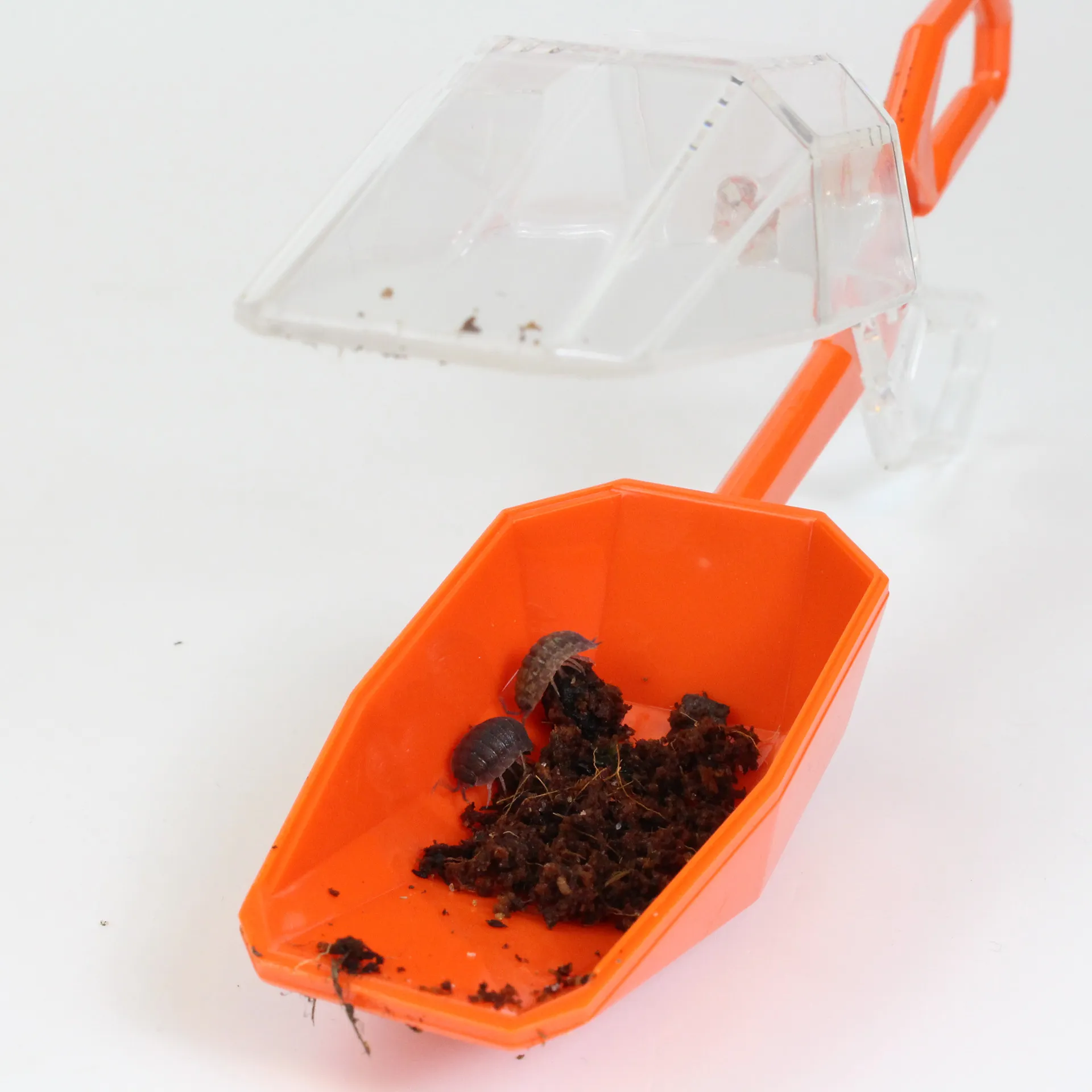 Hagemann Insektenfänger