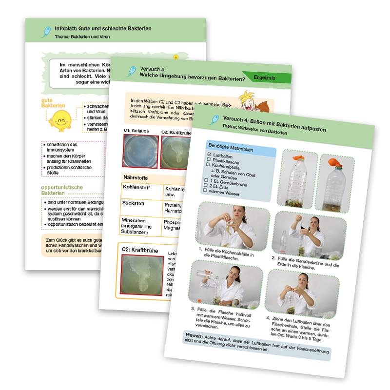 Experimentierbox Bakterien und Viren