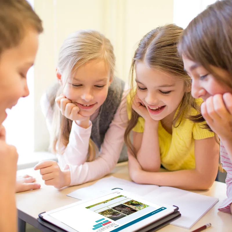 Hagemann Zuchtset Asseln (mit Gutschein, 15-20 Asseln)