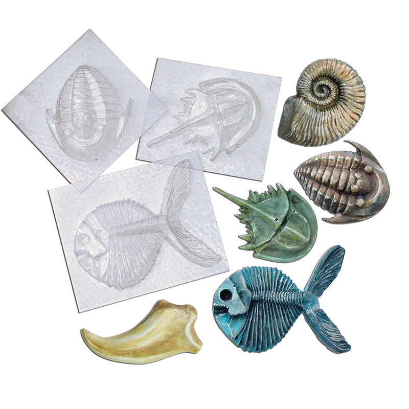 Fossilien-Gießform-Set (5 Stück)