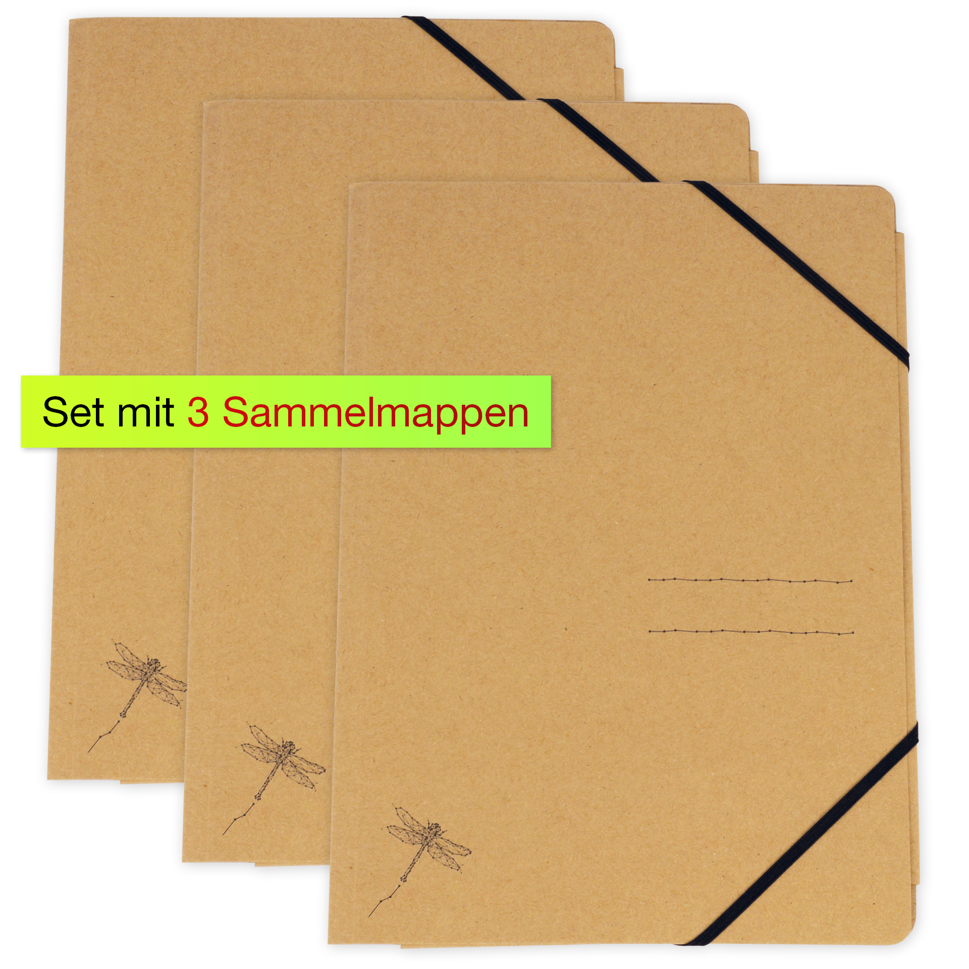 Set Sammelmappe "Natura" A4, 3 Stück