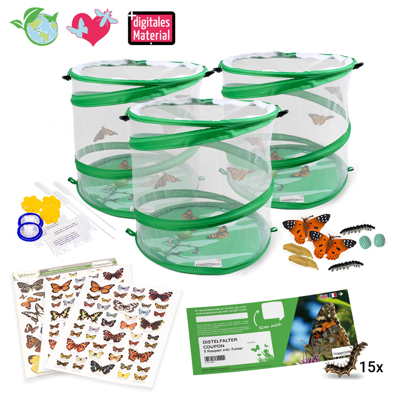 Hagemann Gruppenprojektset Schmetterlinge (mit Gutschein, 15 Raupen)