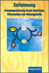 DVD-Lehrfilm Zellatmung