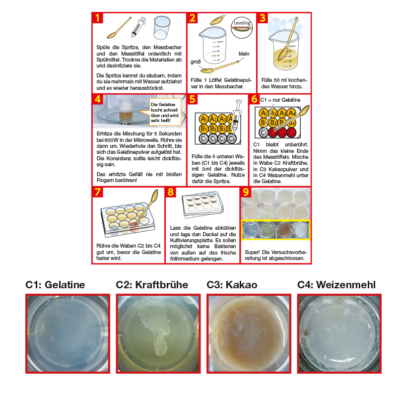 Experimentierbox Bakterien und Viren