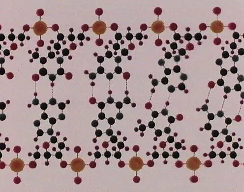 DVD-Lehrfilm Abenteuer genetischer Code