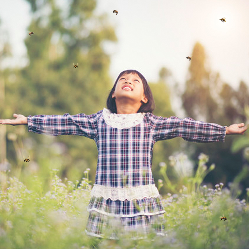 Hagemann Kokons für Wildbienenzucht, Rote Mauerbiene (mit Gutschein, 50 Kokons)
