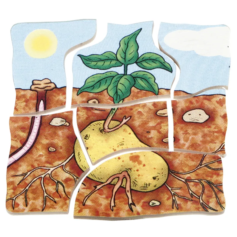 beleduc Schichten-Puzzle "Kartoffel", 30-tlg.