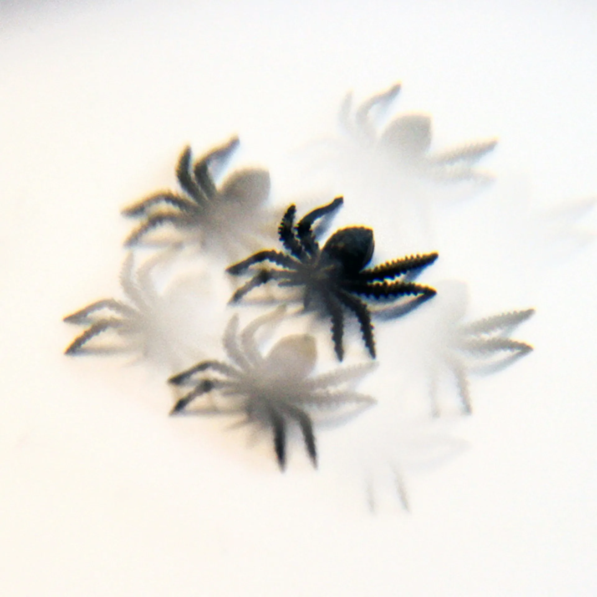 Hagemann Facetten-Linse