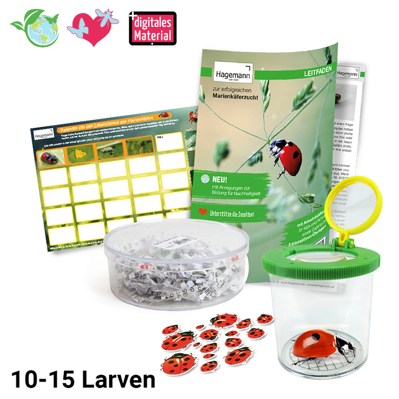 Hagemann Zuchtset Marienkäfer (10-15 Larven)
