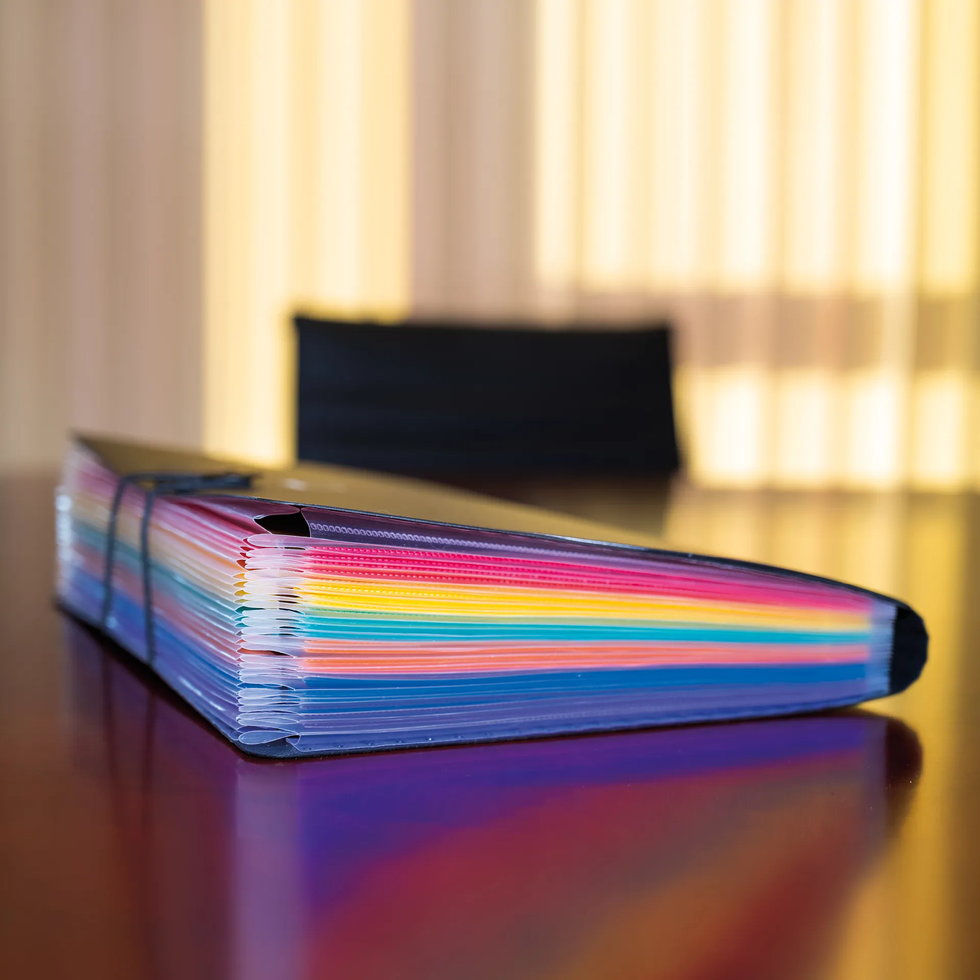 Steh-Fächermappe A4-Plus XXL mit Verschluss-Gummi, 25 Fächer