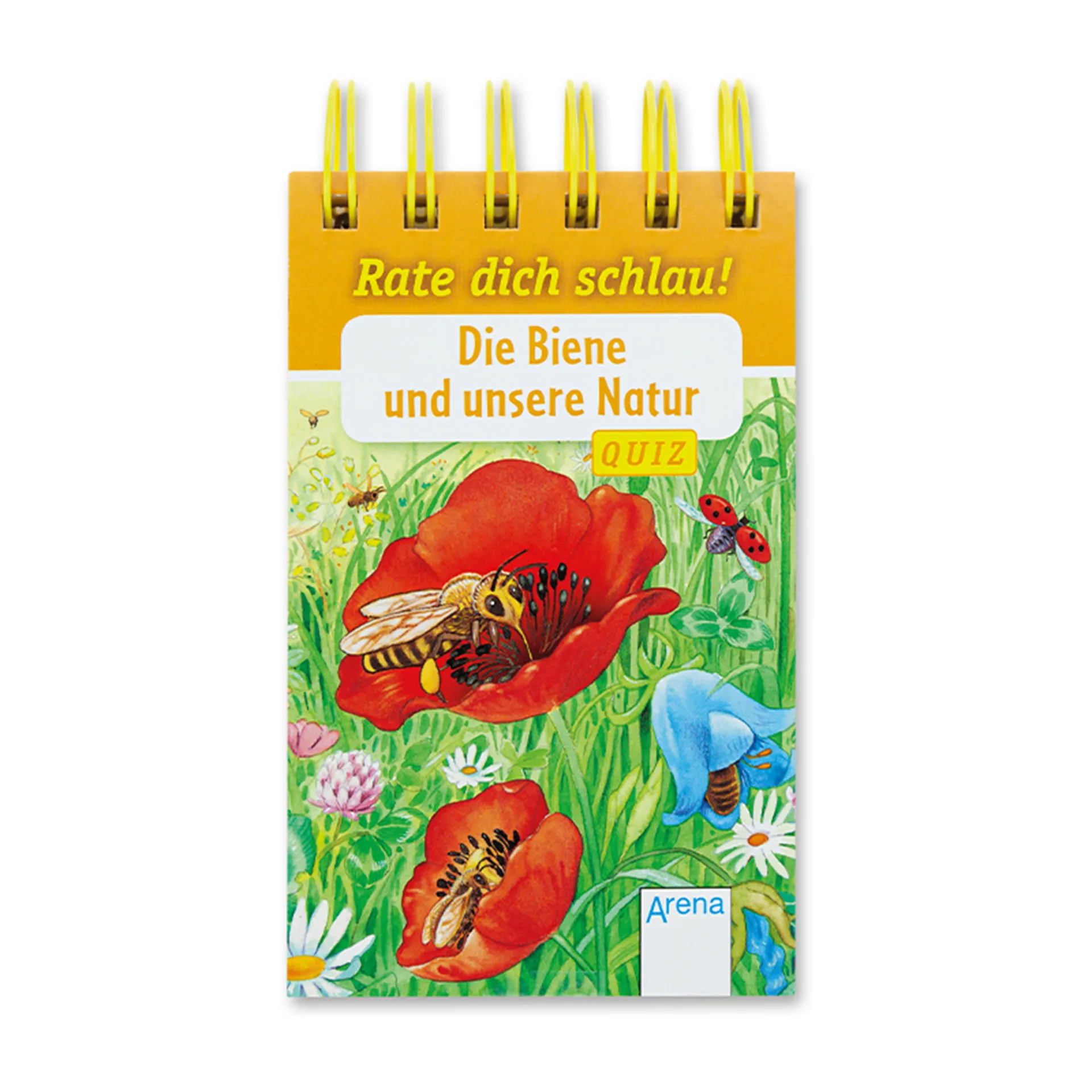 Rate dich schlau! Quiz – Die Biene und unsere Natur