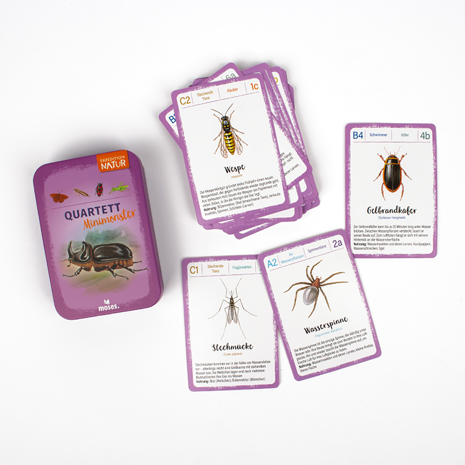 Quartett Minimonster