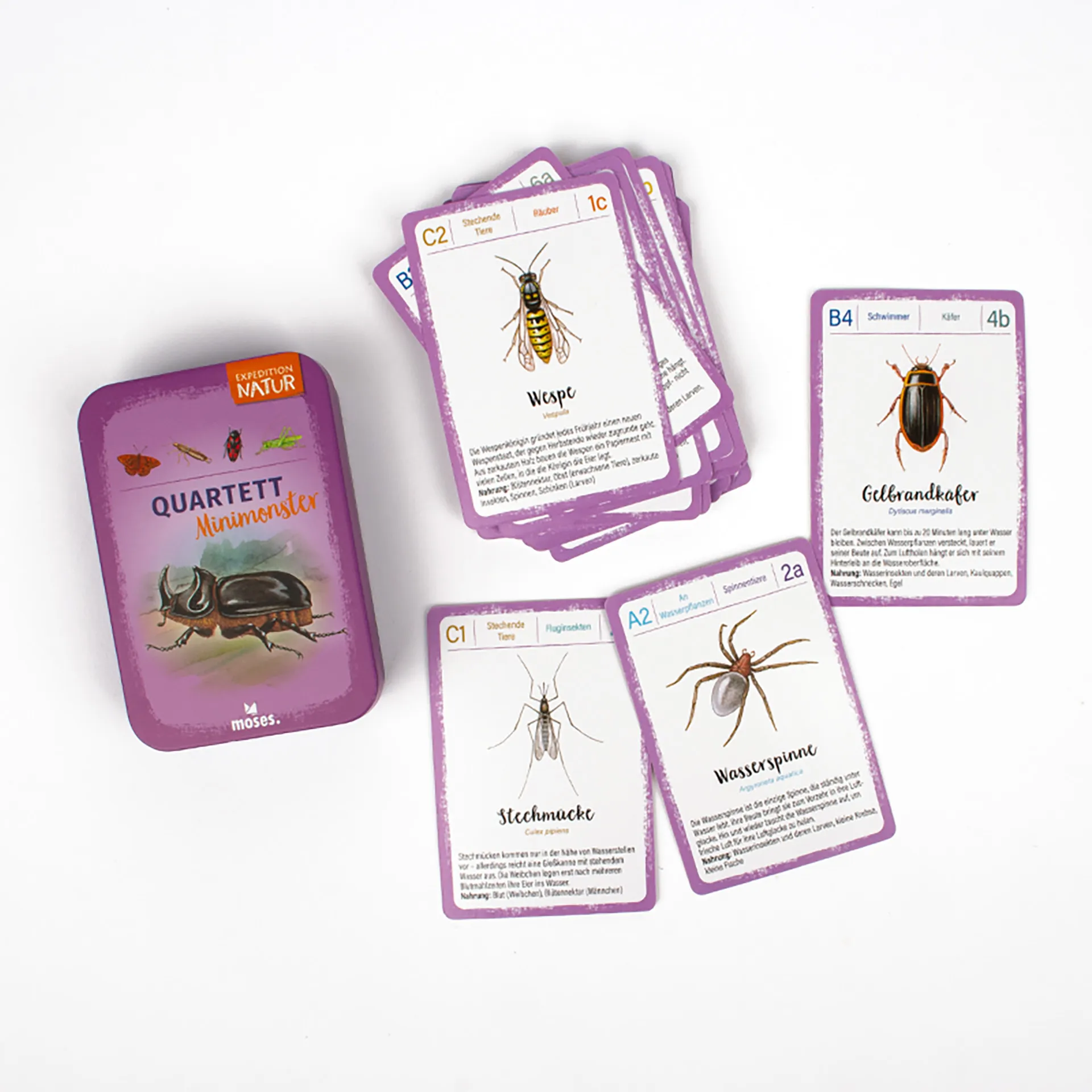 Quartett Minimonster