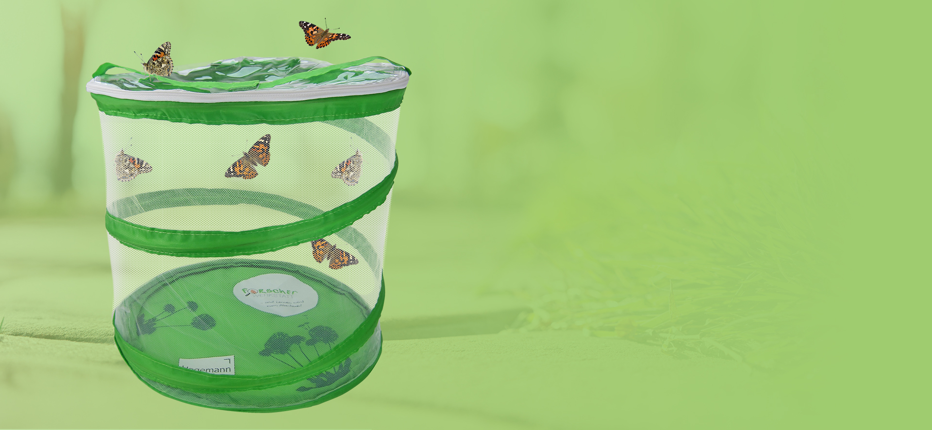 Kategorie_Zuchtset_357_165_(3)