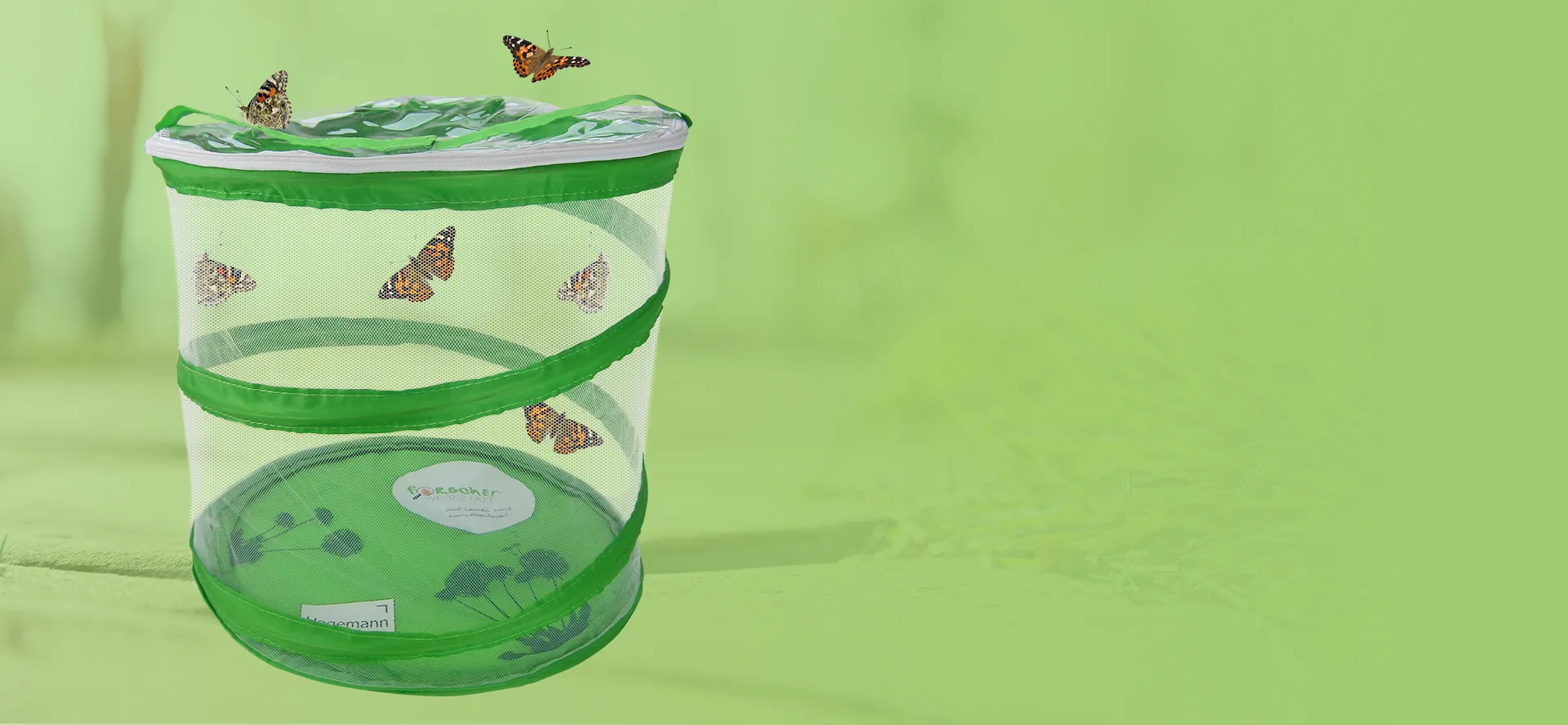 Kategorie_Zuchtset_357_165_(3)