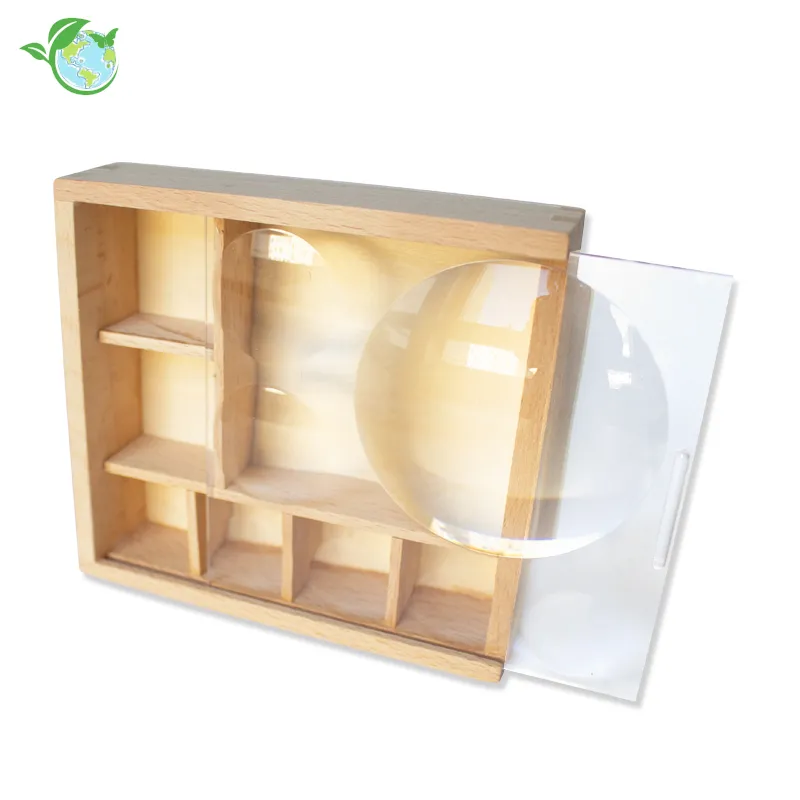 Mein Insekten-und-Naturschätze-Museum 