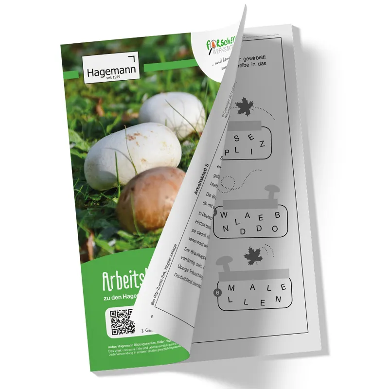 Hagemann Pilz-Zuchtset Champignon (weiß)