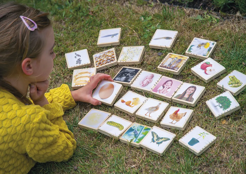 Holztäfelchen "Lebenszyklus", 25-tlg.