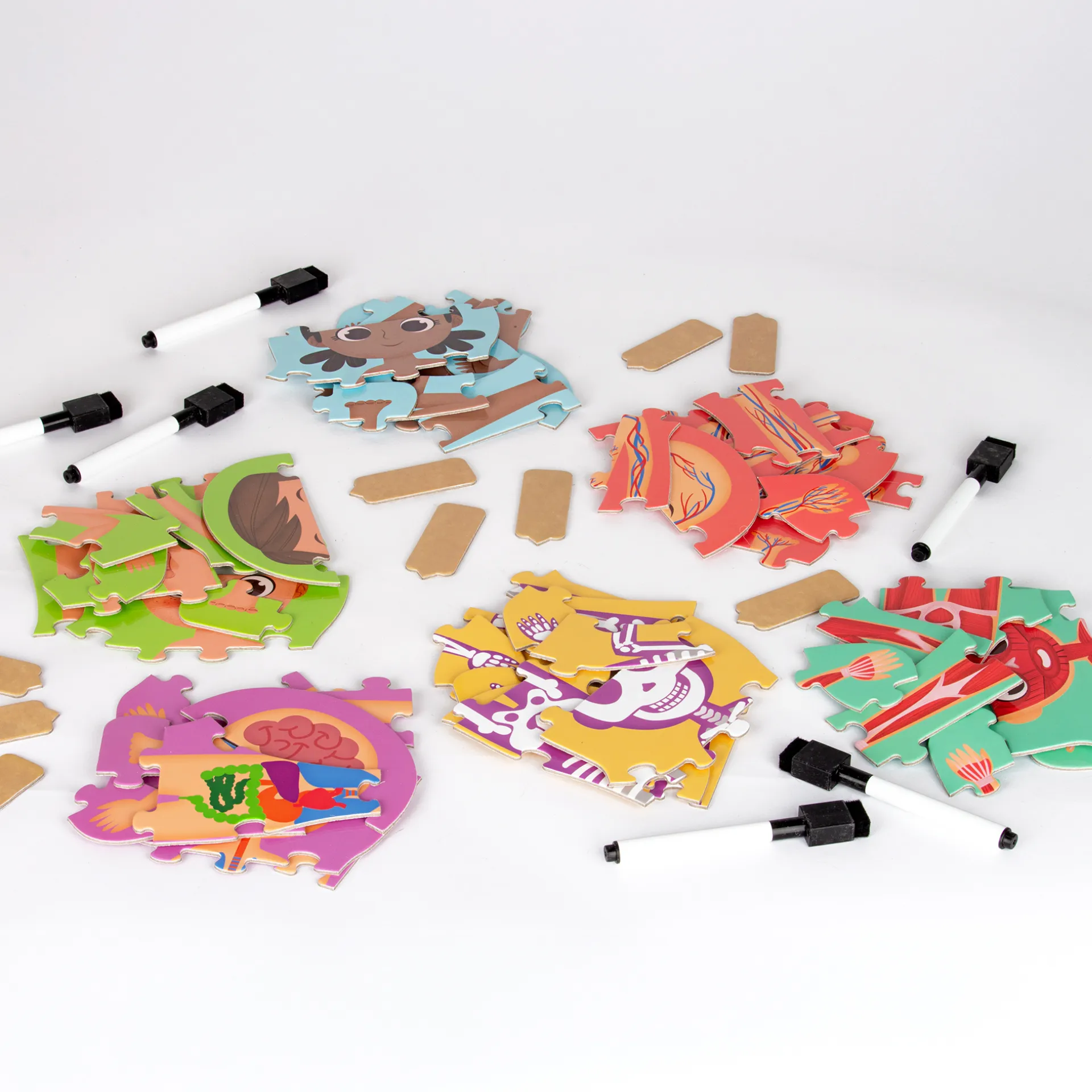 Entdecke deinen Körper, 100-tlg. 