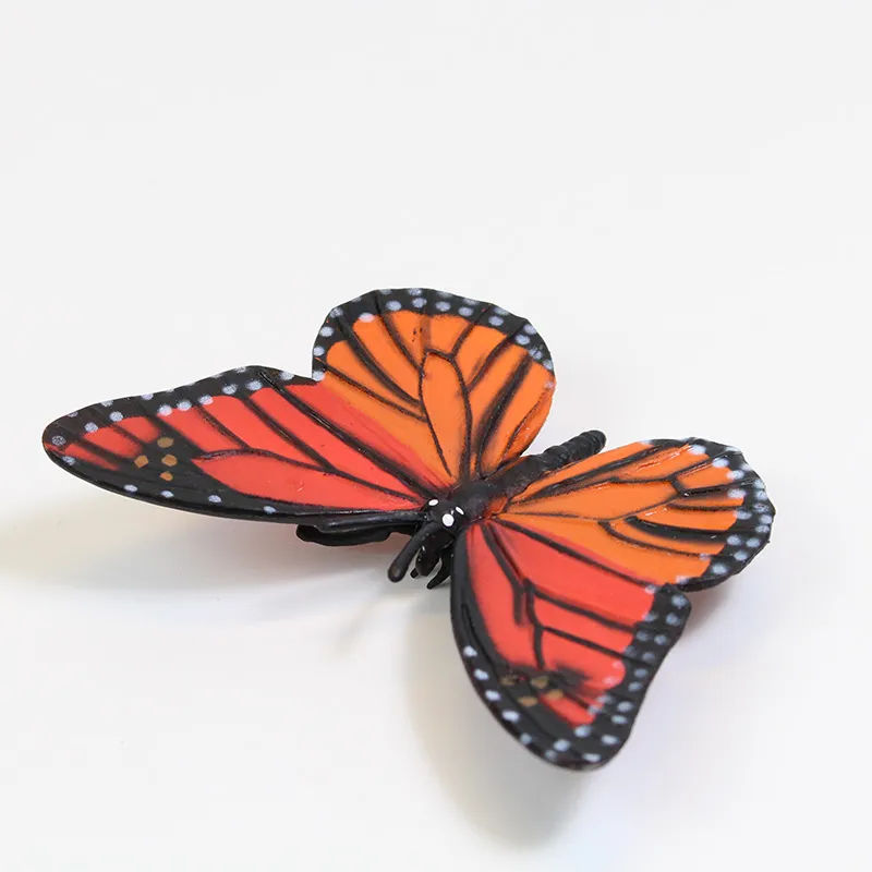 Hagemann Lebenszyklus des Monarchfalters (Modelle, 4-tlg.)