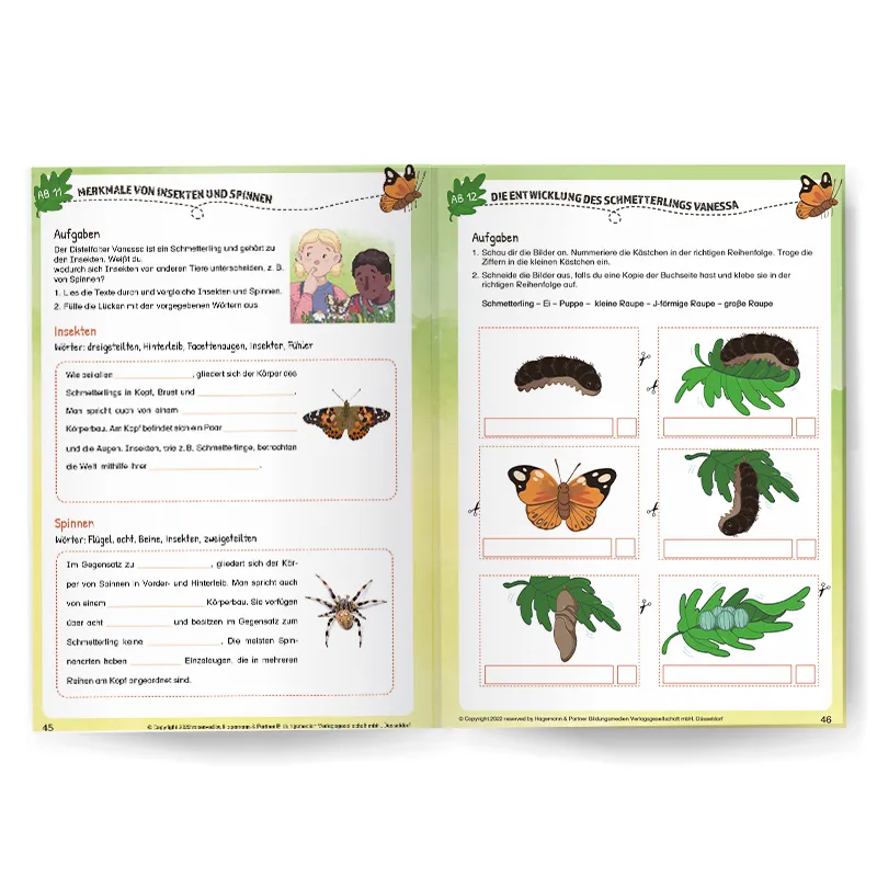Lese- und Arbeitsbuch Eine aufregende Verwandlung – „Lou, Lisa und die Schmetterlinge“ (56 Seiten)