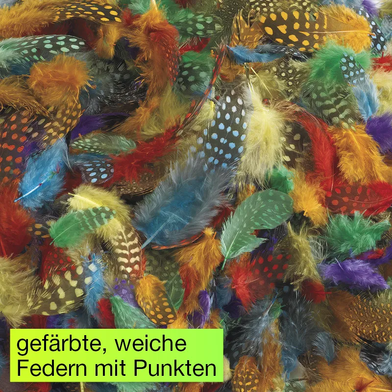 Gepunktete Federn, 30 g