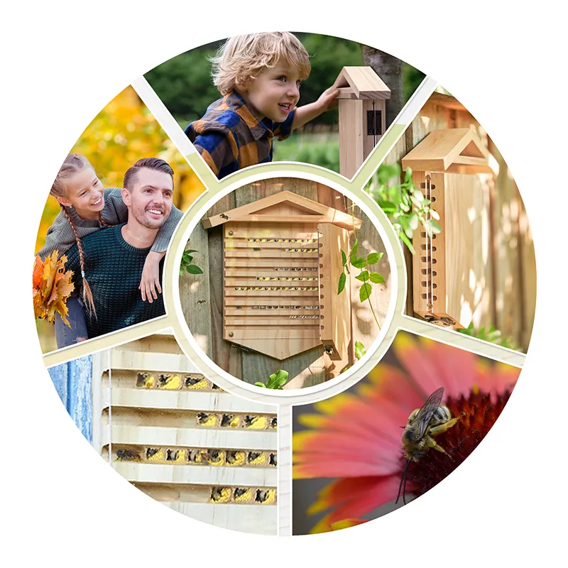 Wildbienen-Beobachtungshotel zum Aufklappen