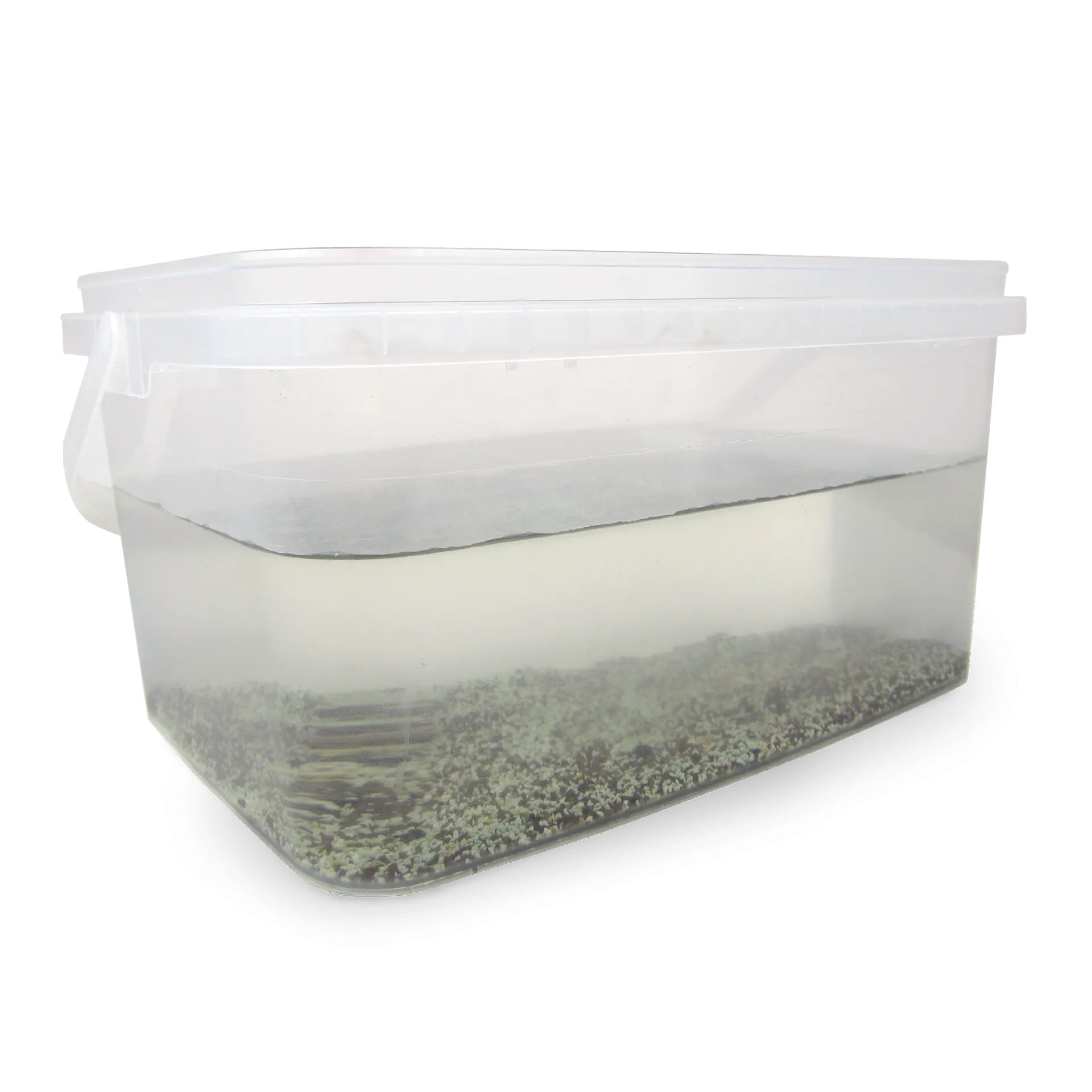 Hagemann Zuchtset Triops