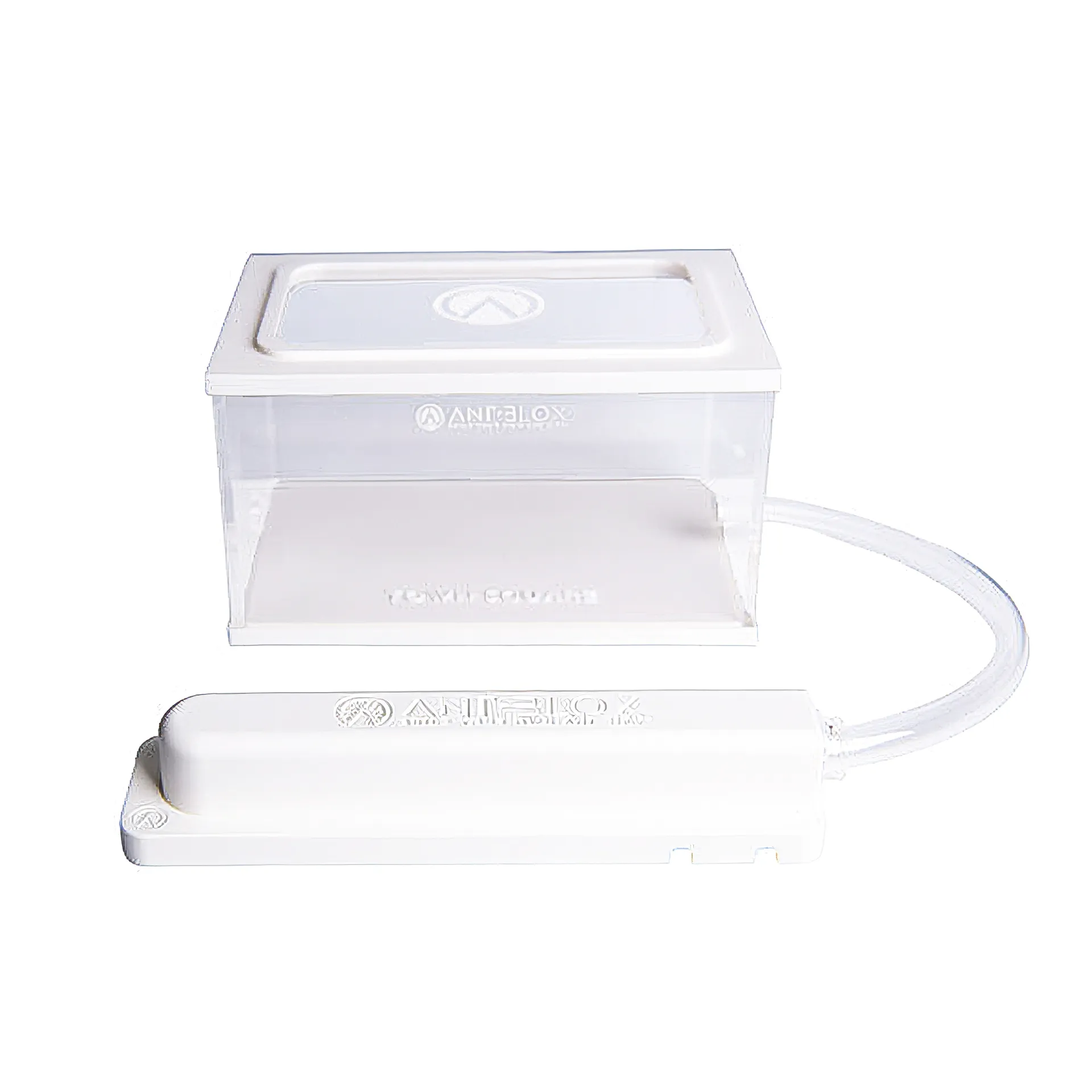 Hagemann Zuchtset Ameisen