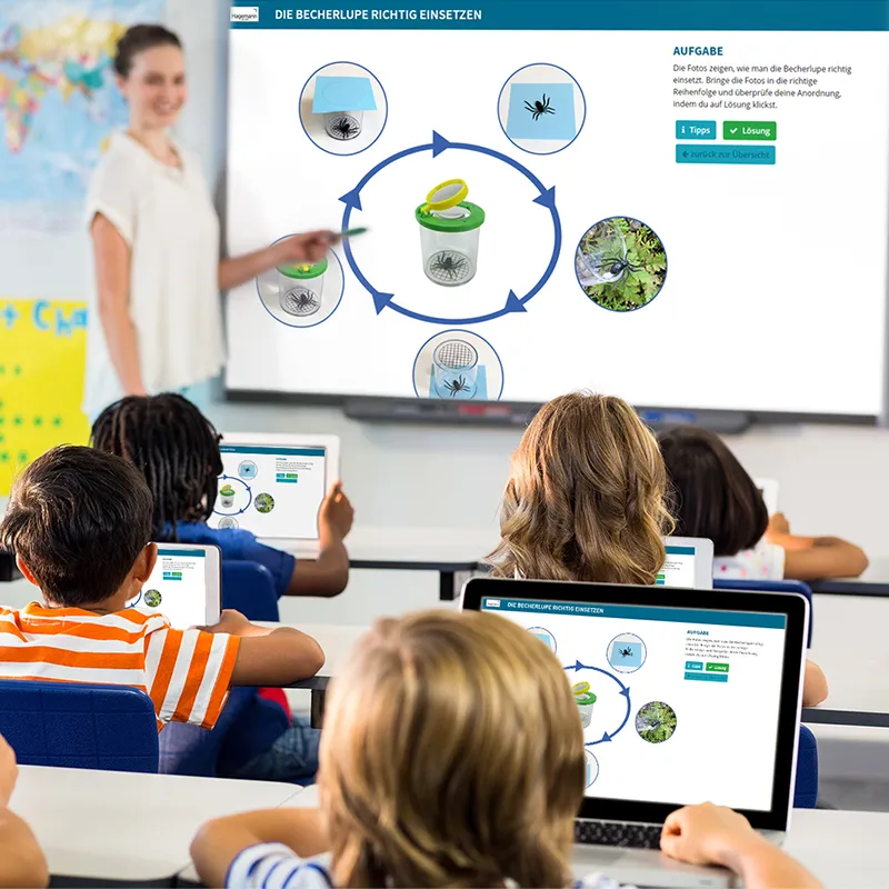 Hagemann Entdeckerset Insekten & Co